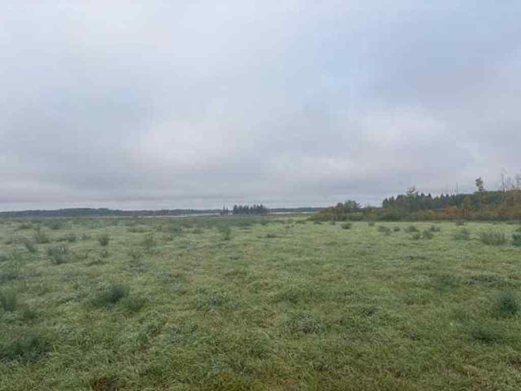 MLS® A2267950 -  NE 35-54-21 W3   in NONE Rural, Land