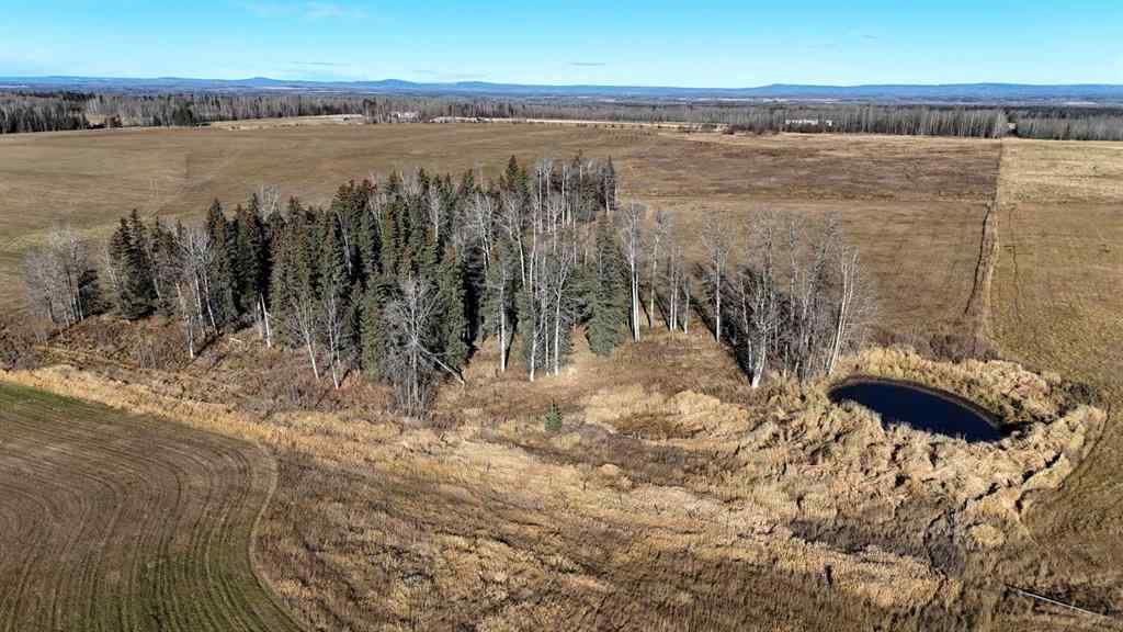 MLS® A2268018 - 53403 Range Road 160   in NONE Rural Yellowhead County, Land
