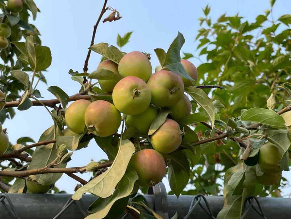 MLS® A2268031 - 4910 53 Street  in NONE Grimshaw, Residential