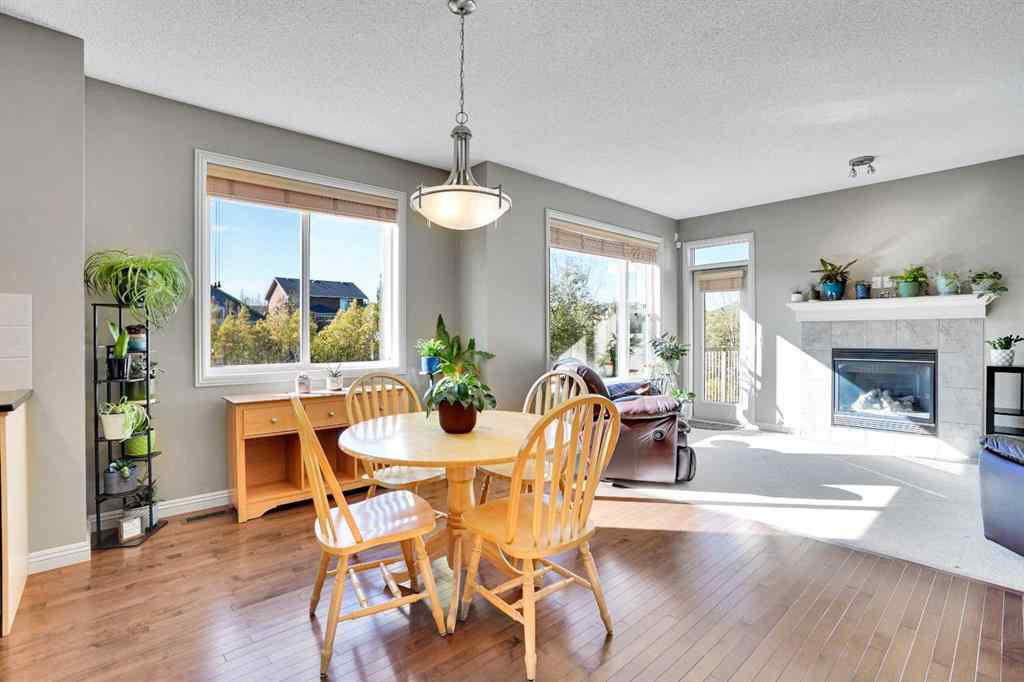 MLS® A2268032 - 172 Seagreen Way  in West Creek Chestermere, Residential