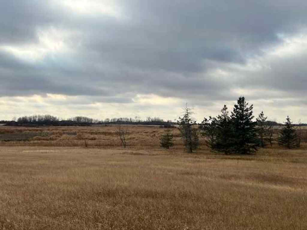 MLS® A2268034 -  NE 6 47 17 W4   in NONE Rural Camrose County, Land
