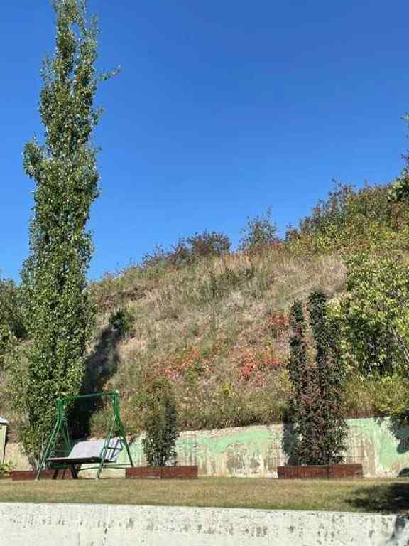 MLS® A2268053 - 11409 103 Street Street  in Riverview Peace River, Residential