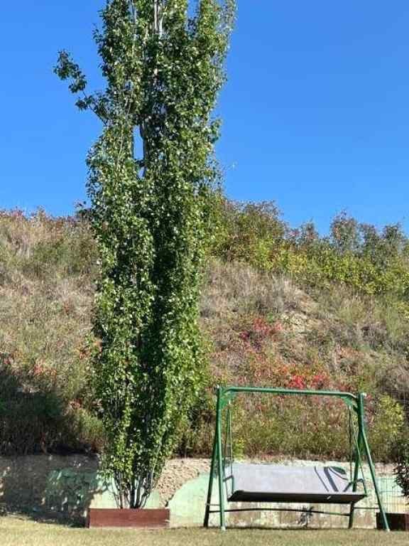 MLS® A2268053 - 11409 103 Street Street  in Riverview Peace River, Residential