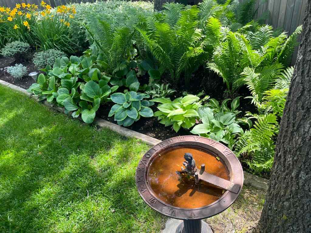 MLS® A2268227 - 3205 58 Avenue  in Steele Heights Lloydminster, Residential