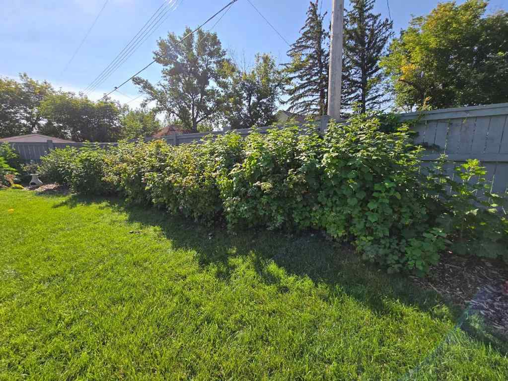 MLS&reg; # A2268290 - 332 Grey Street  in NONE Granum, Residential Open Houses