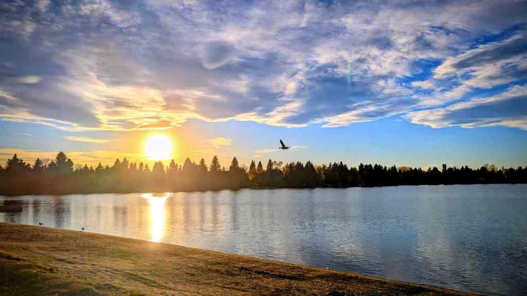 MLS® A2268388 - Unit #220 15304 Bannister Road SE in Midnapore Calgary, Residential