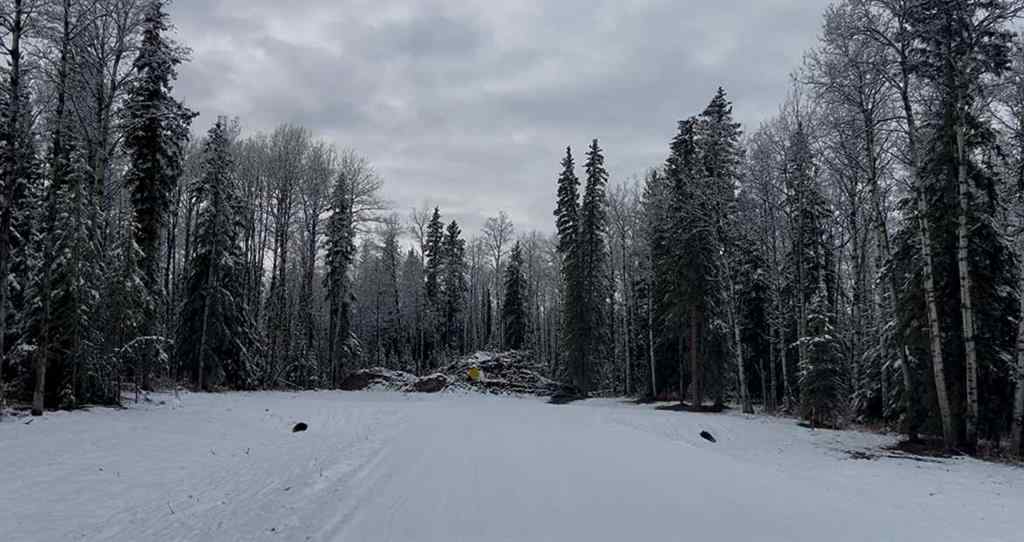 MLS&reg; # A2268393 -  NE-20-74-5-W6   in NONE Rural Grande Prairie No. 1, County of, Land Open Houses