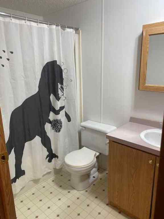 MLS® A2268397 - 325 1 Street  in NONE Irricana, Residential