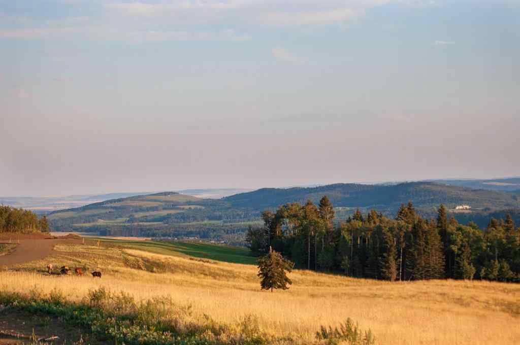 MLS® A2268439 - 256163 Whiskey Springs Hill W in NONE Rural Foothills County, Land