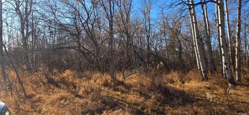 MLS® A2268441 - 4832 46 Street  in NONE Mirror, Land