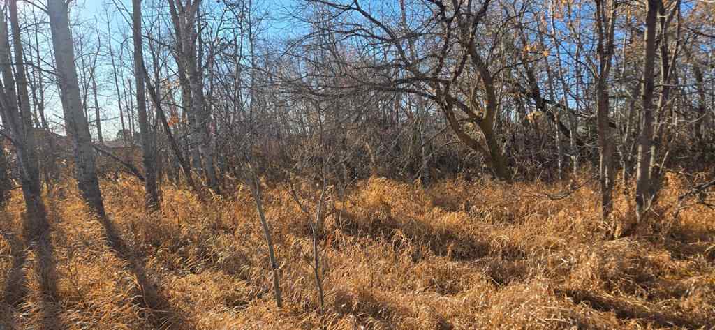 MLS® A2268441 - 4832 46 Street  in NONE Mirror, Land