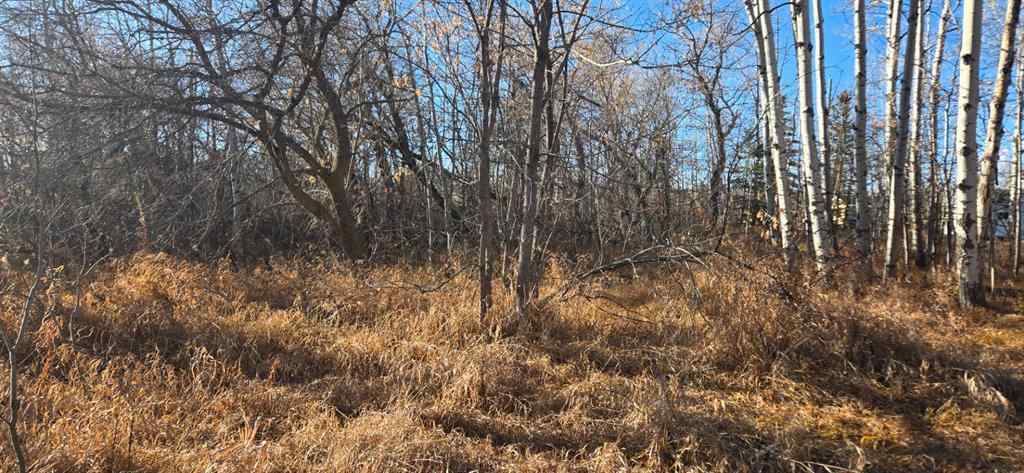 MLS® A2268441 - 4832 46 Street  in NONE Mirror, Land