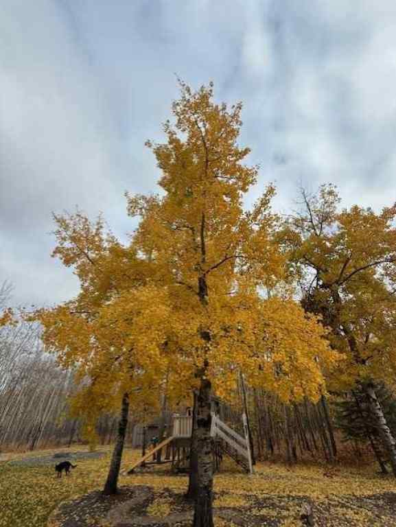 MLS® A2268460 - Unit #105 715010 Range Road 84 Range  in Hilltop Estates Rural Grande Prairie No. 1, County of, Residential