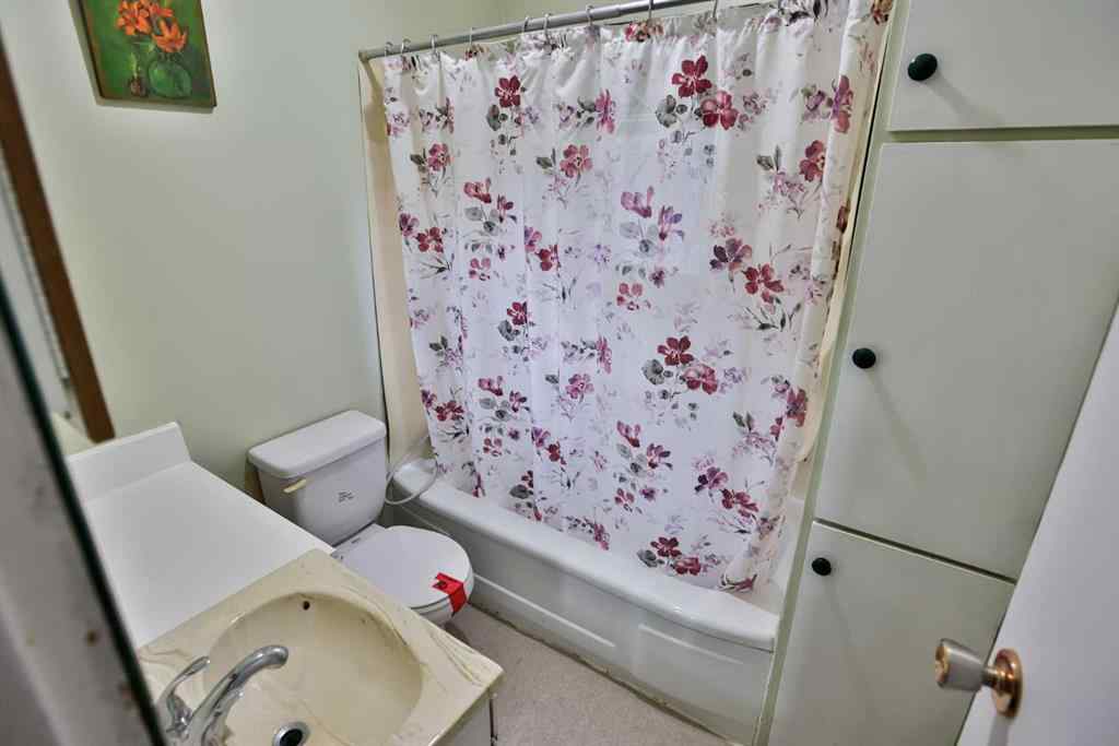 MLS® A2268530 - 217 1 Street N in NONE Lomond, Residential