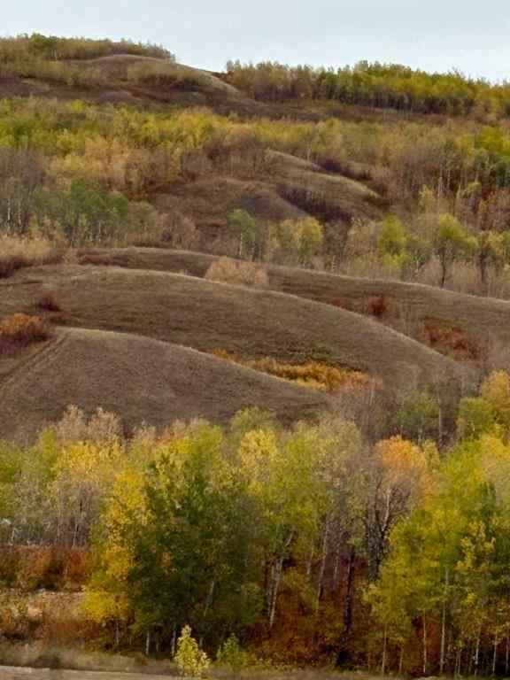 MLS® A2268556 - 7421 98B Street  in North End Peace River, Residential