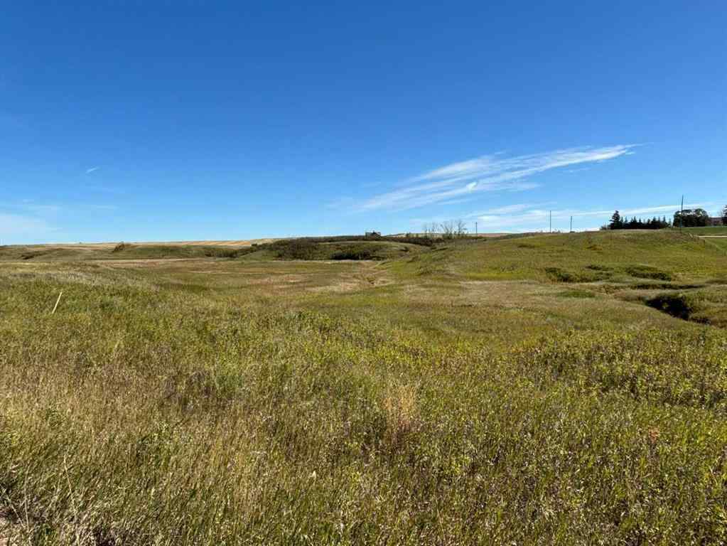 MLS&reg; # A2268626 - Hwy 9 RR 19-5A   in NONE Rural Starland County, Land Open Houses