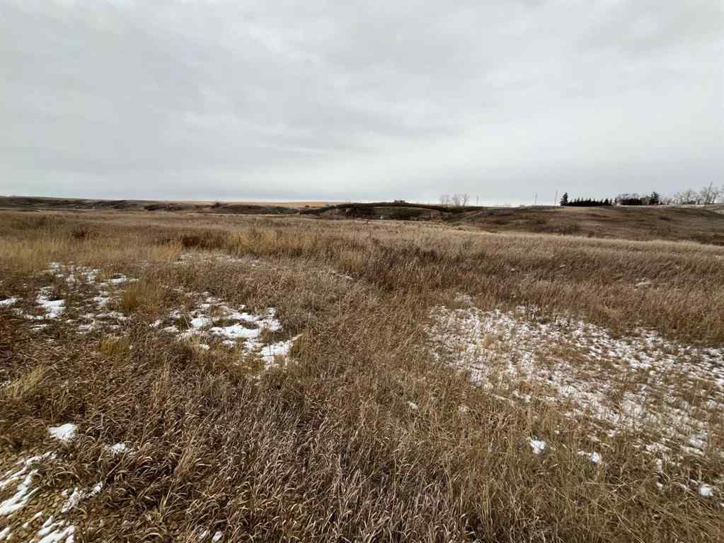 MLS&reg; # A2268626 - Hwy 9 RR 19-5A   in NONE Rural Starland County, Land Open Houses