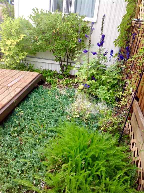 MLS&reg; # A2268920 - 148 Young Crescent  in NONE Stavely, Residential Open Houses