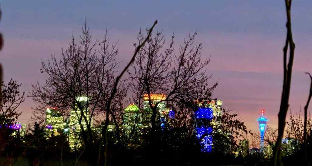 MLS® A2268923 - 4929 20 Street SW in Altadore Calgary, Residential