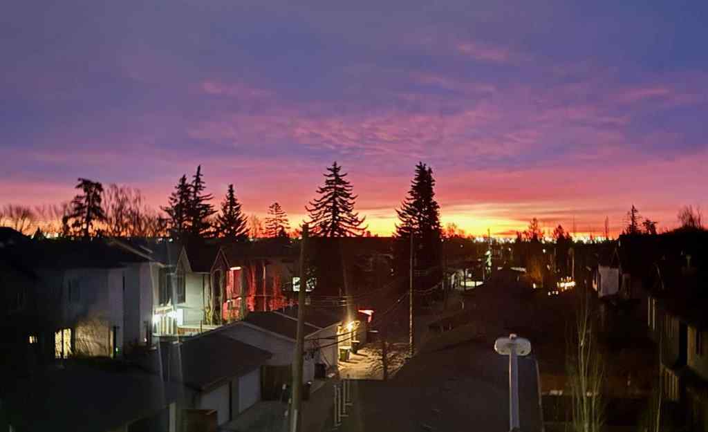 MLS® A2268923 - 4929 20 Street SW in Altadore Calgary, Residential