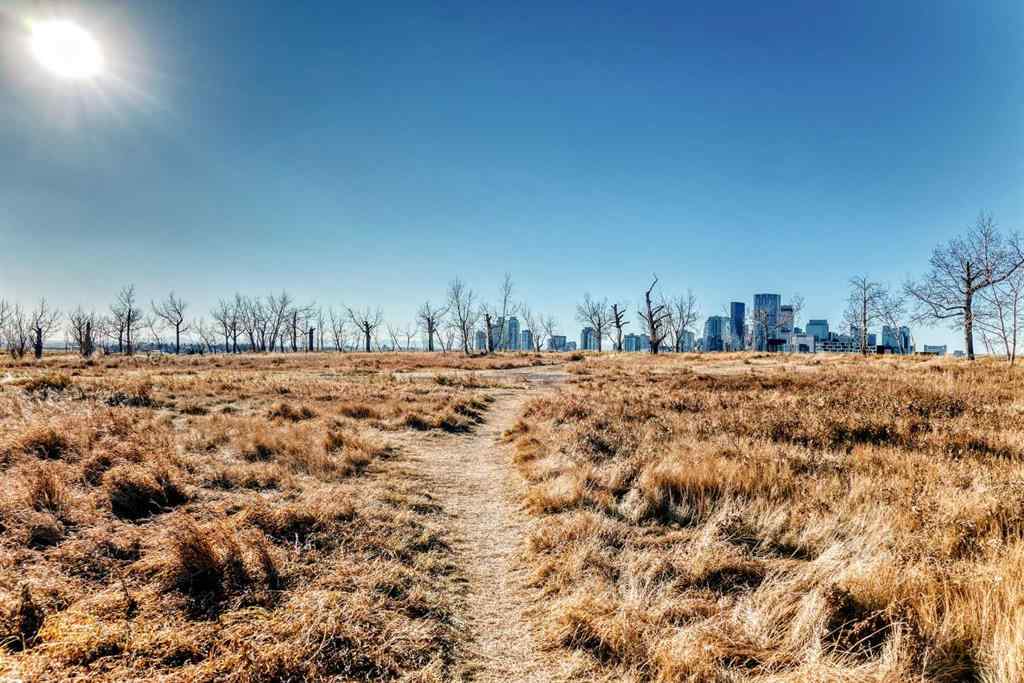 MLS® A2268999 - 677 Regal Park NE in Renfrew Calgary, Residential