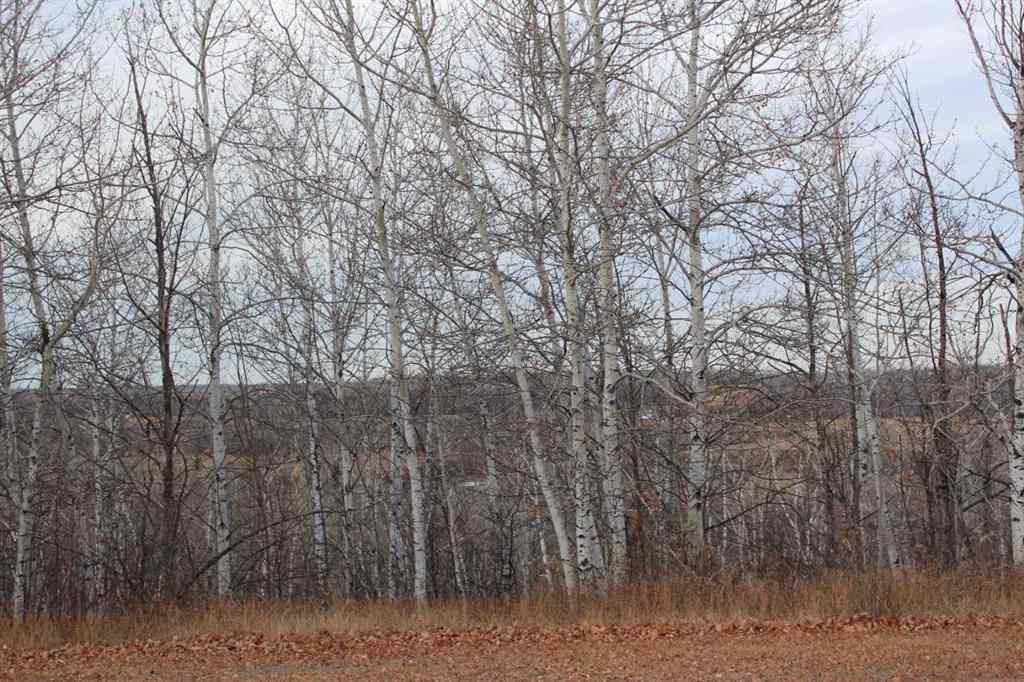 MLS&reg; # A2269095 - 235011 913 Township  in NONE Rural Northern Lights, County of, Residential Open Houses