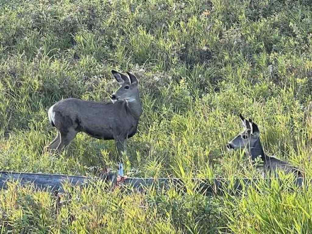 MLS® A2269159 - 44 Riviera Court  in Riviera Cochrane, Residential