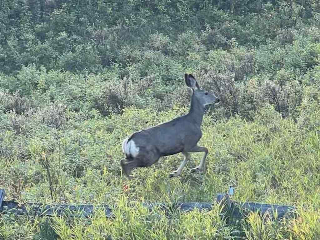 MLS® A2269159 - 44 Riviera Court  in Riviera Cochrane, Residential