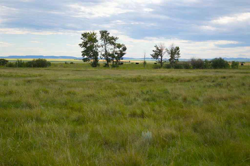 MLS® A2269174 -  530 AVE W   in NONE Rural Foothills County, Land