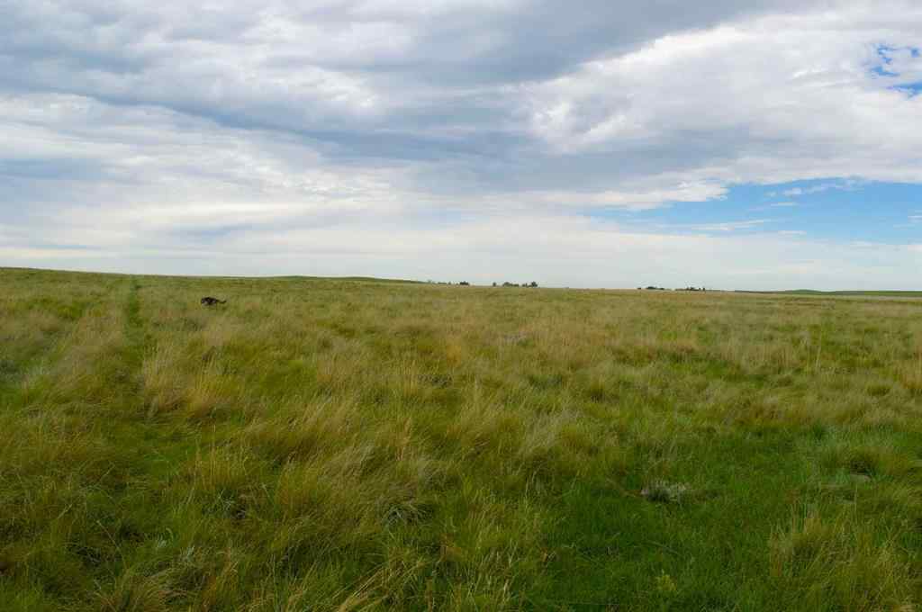 MLS® A2269174 -  530 AVE W   in NONE Rural Foothills County, Land
