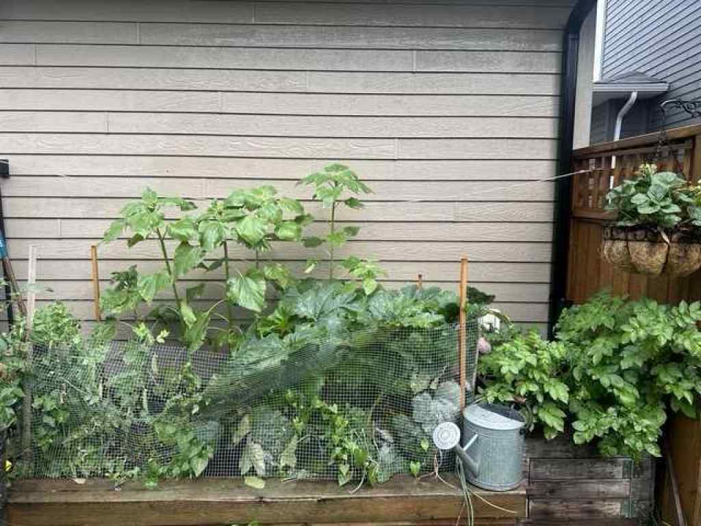 MLS&reg; # A2269285 - 138 Mink Lane  in Timberlea Fort McMurray, Residential Open Houses