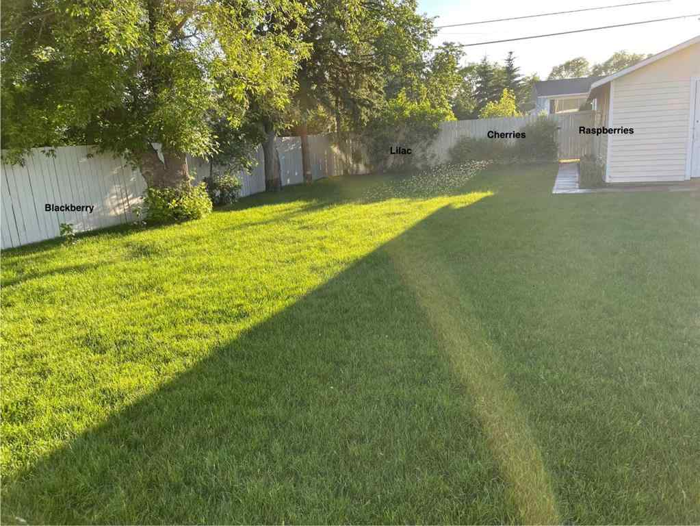 MLS&reg; # A2269329 - 5017 49A Street  in Sedgewick Sedgewick, Residential Open Houses