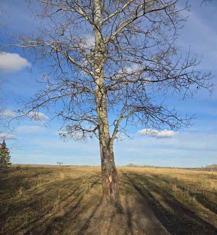 MLS® A2269386 - 464051 Range Road 41   in NONE Winfield, Agri-Business