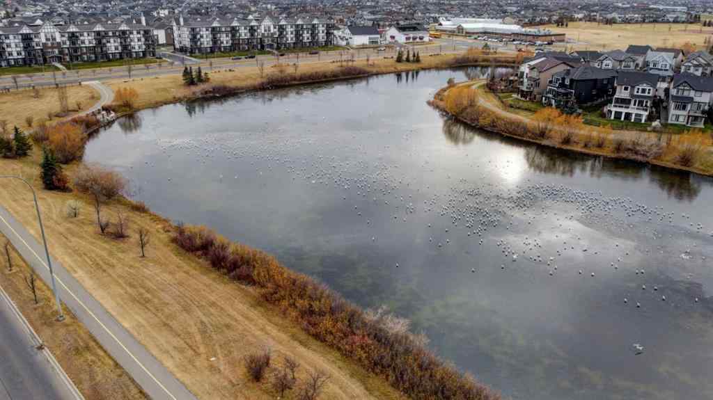 MLS® A2269527 - Unit #324 117 Copperpond Common SE in Copperfield Calgary, Residential