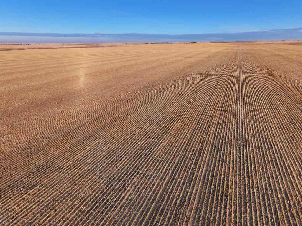 MLS® # A2269540 - NE 36-22-22-W4   in NONE Gleichen, Agri-Business Open Houses