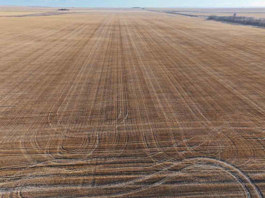 MLS® # A2269543 - NW-6-23-21-W4 SW-7-23-21-W4   in NONE Gleichen, Agri-Business Open Houses