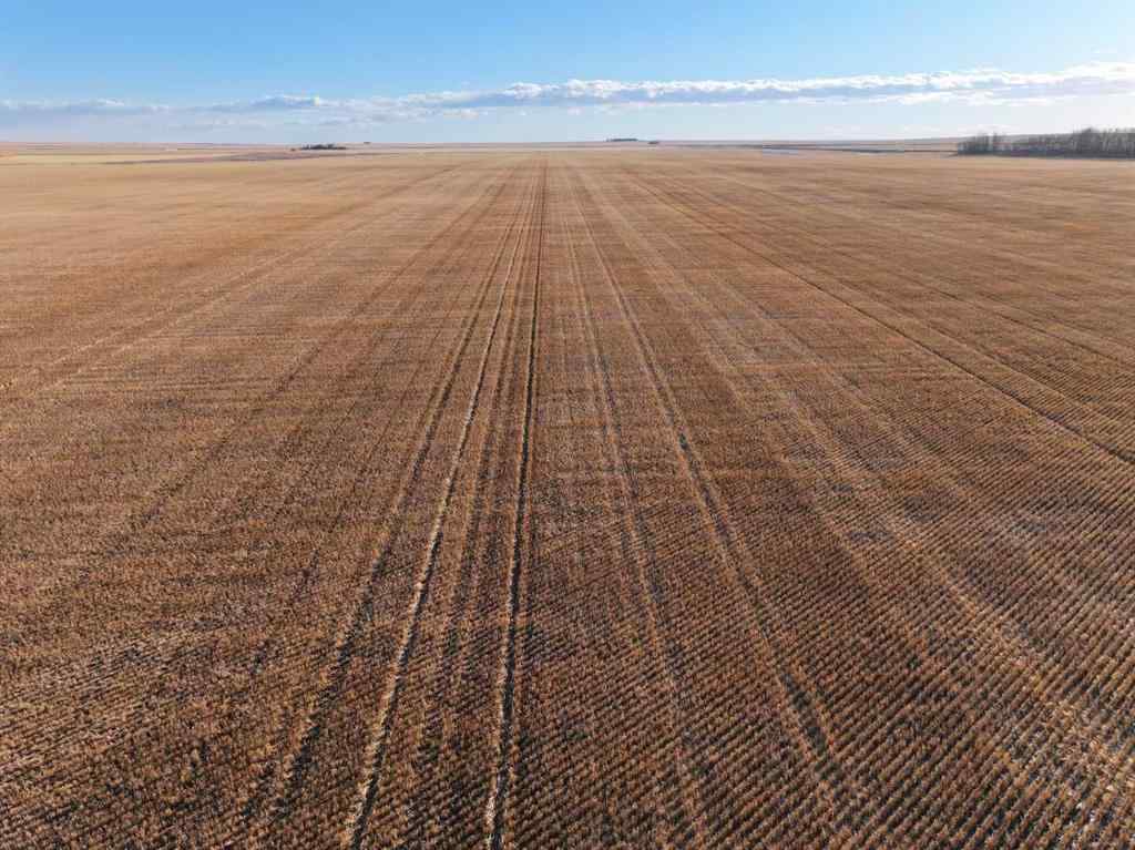 MLS® # A2269543 - NW-6-23-21-W4 SW-7-23-21-W4   in NONE Gleichen, Agri-Business Open Houses