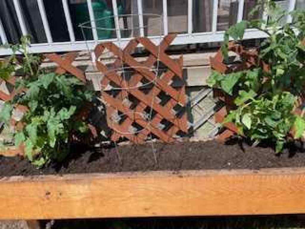 MLS® A2269549 - 734 Woodside Bay NW in Woodside Airdrie, Residential