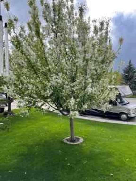 MLS® A2269549 - 734 Woodside Bay NW in Woodside Airdrie, Residential