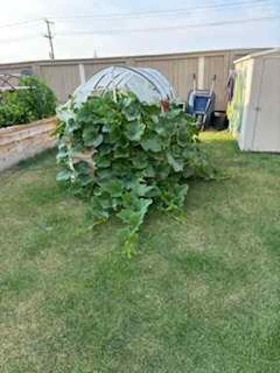 MLS® A2269549 - 734 Woodside Bay NW in Woodside Airdrie, Residential