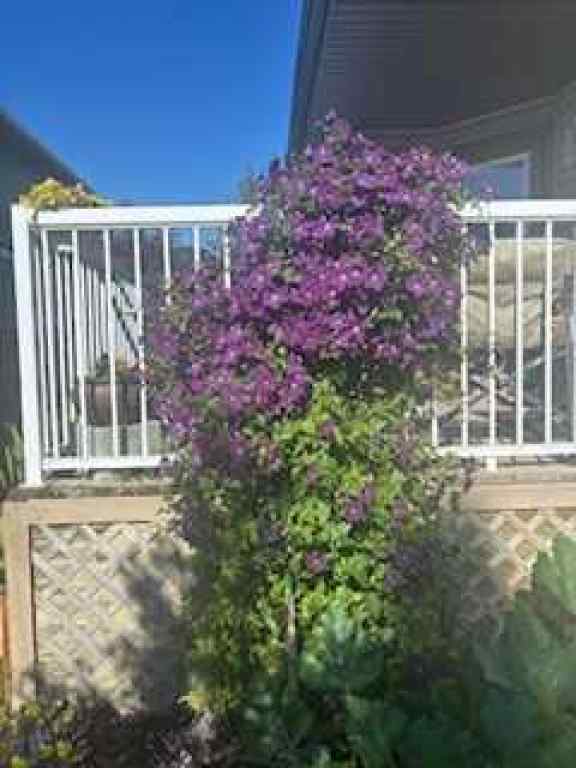 MLS® A2269549 - 734 Woodside Bay NW in Woodside Airdrie, Residential