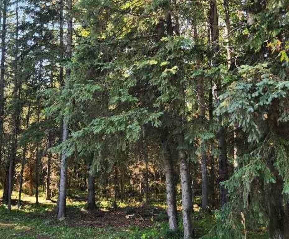 MLS&reg; # A2269590 -  Range Road 6.2   in NONE Rural Clearwater County, Land Open Houses