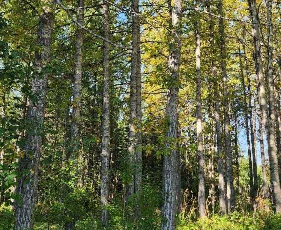 MLS&reg; # A2269590 -  Range Road 6.2   in NONE Rural Clearwater County, Land Open Houses