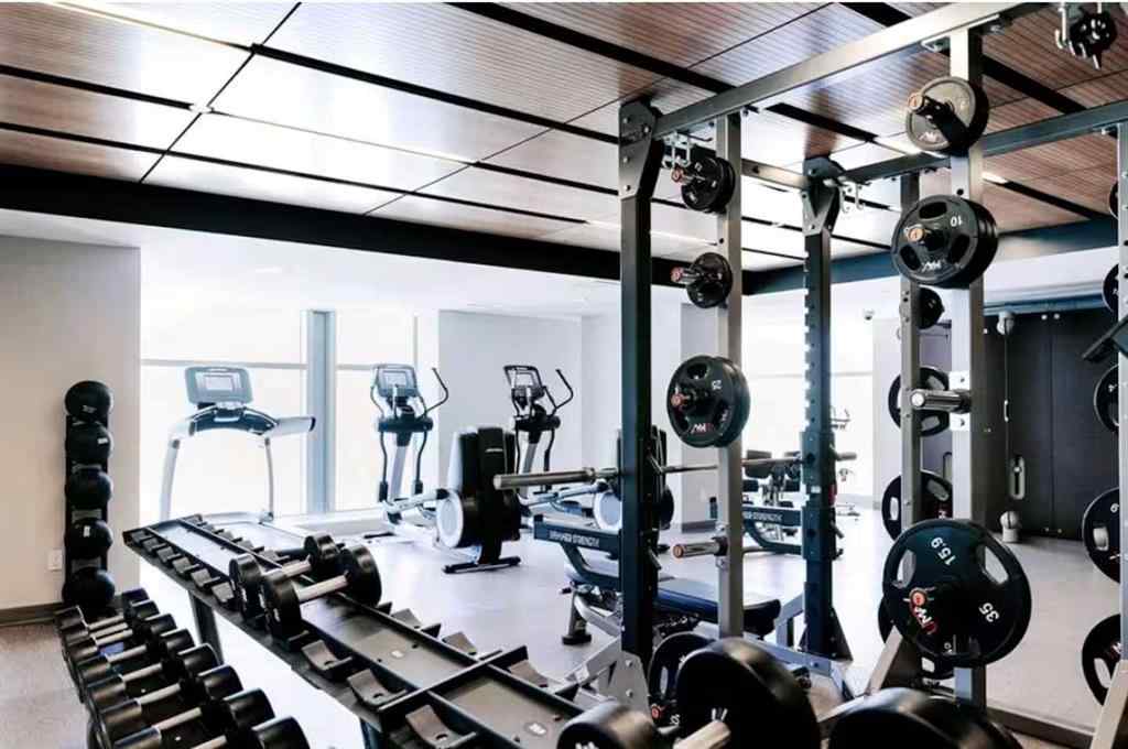 MLS® A2269760 - Unit #1109 1188 3 Street SE in Beltline Calgary, Residential