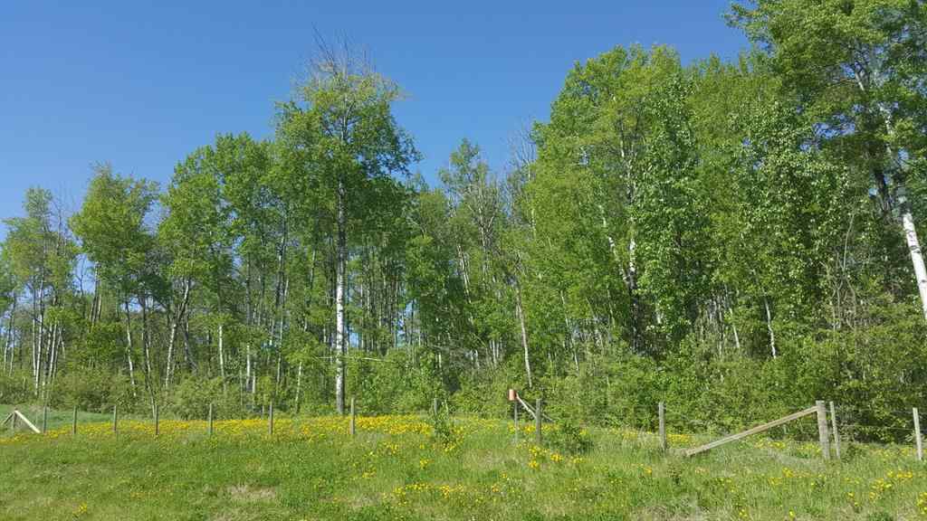 MLS&reg; # A2269775 -  Weberville Road  in NONE Rural Northern Lights, County of, Land Open Houses