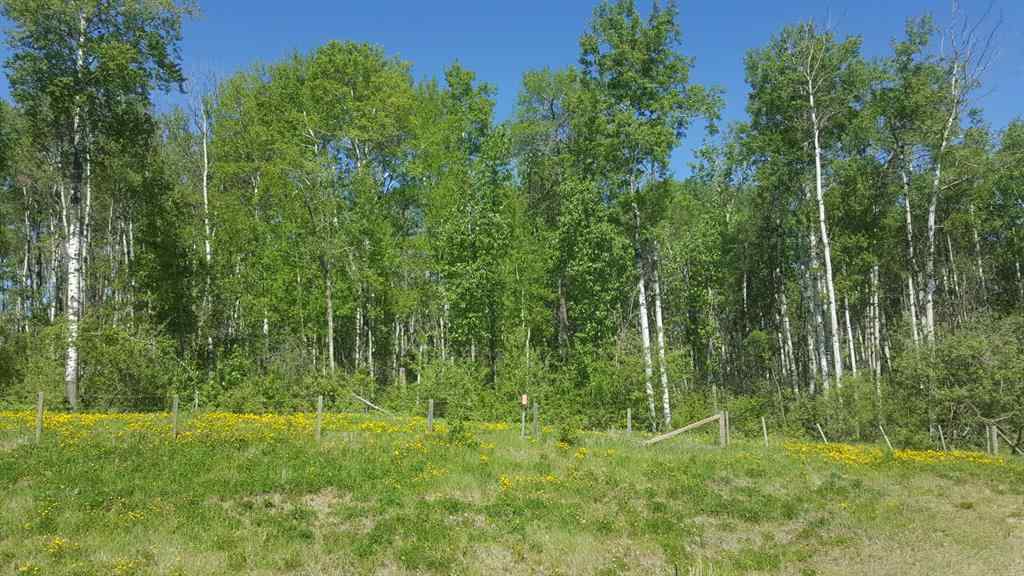 MLS&reg; # A2269775 -  Weberville Road  in NONE Rural Northern Lights, County of, Land Open Houses