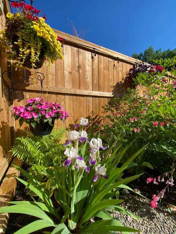 MLS&reg; # A2269794 - 431 Queensland Circle SE in Queensland Calgary, Residential Open Houses