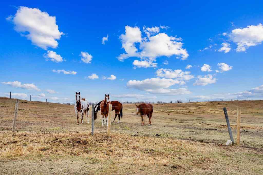 MLS&reg; # A2269826 - 153009 RR 274   in NONE Rural Willow Creek No. 26, M.D. of, Residential Open Houses