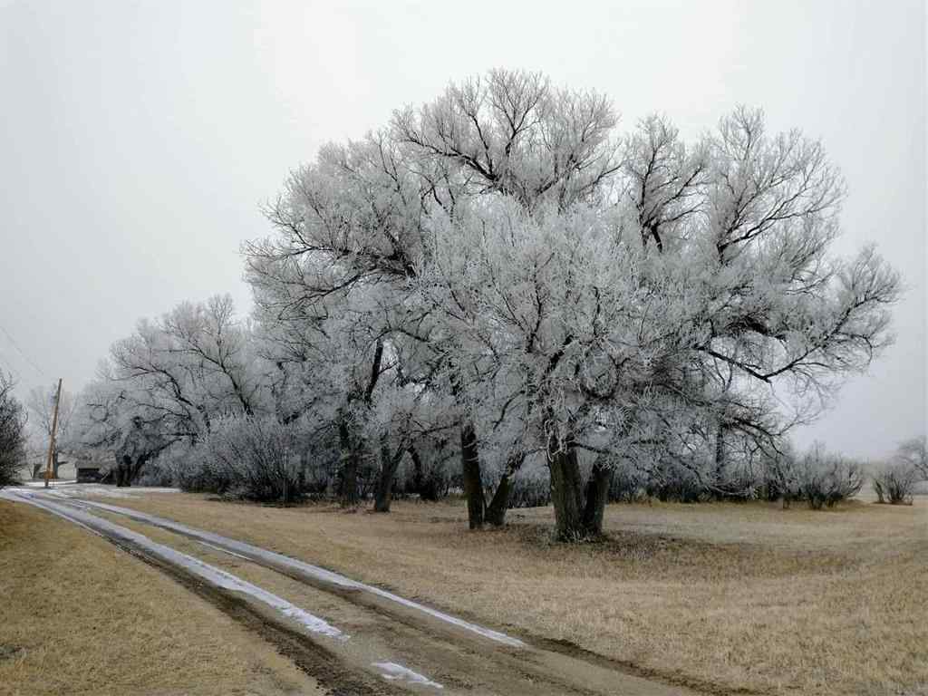 MLS&reg; # A2269826 - 153009 RR 274   in NONE Rural Willow Creek No. 26, M.D. of, Residential Open Houses