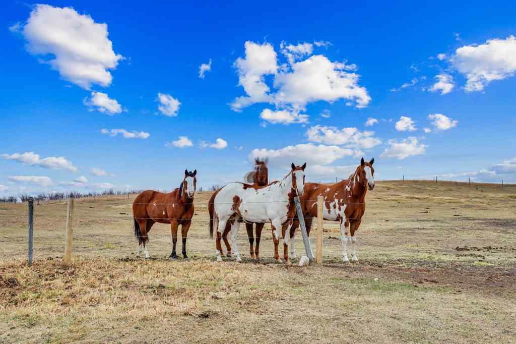 MLS&reg; # A2269826 - 153009 RR 274   in NONE Rural Willow Creek No. 26, M.D. of, Residential Open Houses